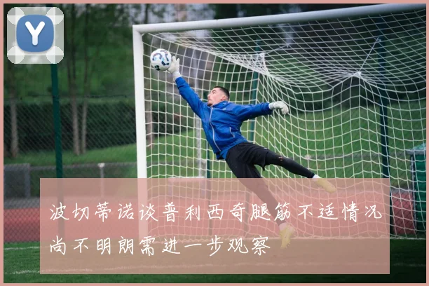 波切蒂诺谈普利西奇腿筋不适情况尚不明朗需进一步观察