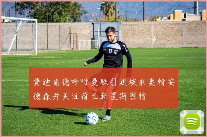 费迪南德呼吁曼联引进埃利奥特安德森并关注荷兰新星斯密特